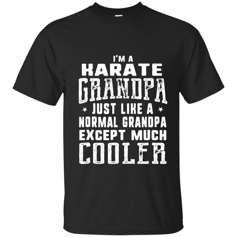 Karate Grandpa Like A Normal Grandpa Funny Men Mug OZ T-shirt-mt