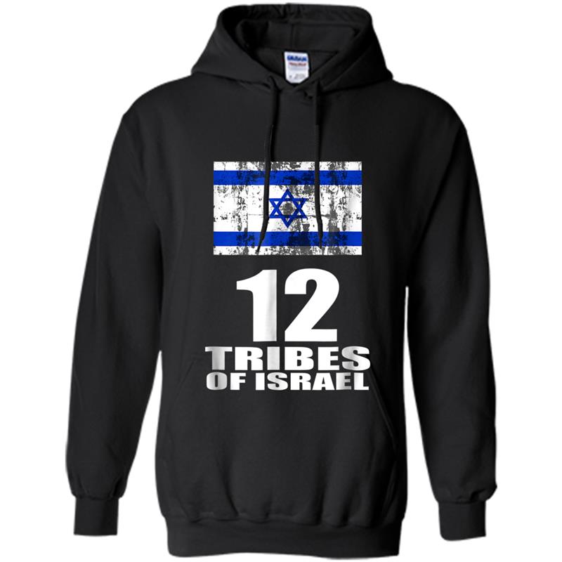 12 Tribes Of Israel Hoodie-mt