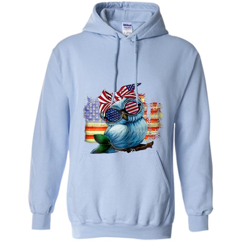 America Flag Independence Day 4th July Owl Hoodie-mt