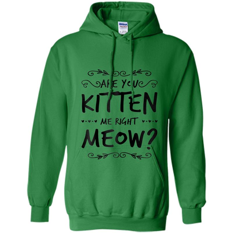 Are You Kitten Me Right Meow  Cat  Kitty Paws  Gift Hoodie-mt