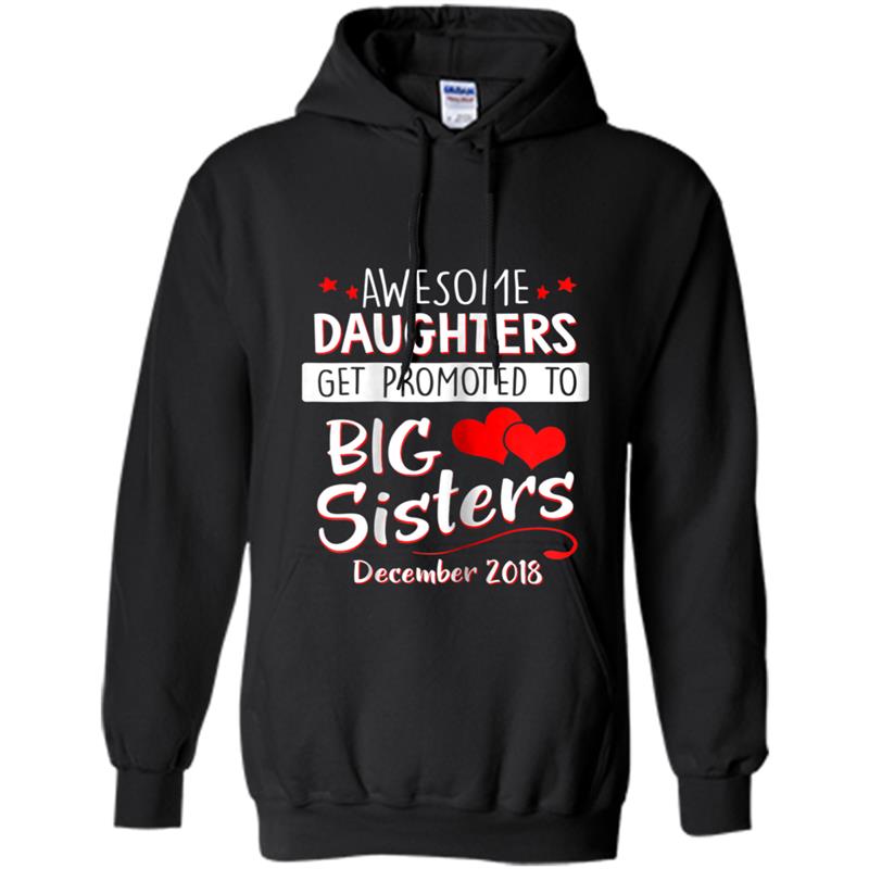 Awesome Daughters Promoted Big Sisters December 2018 Hoodie-mt