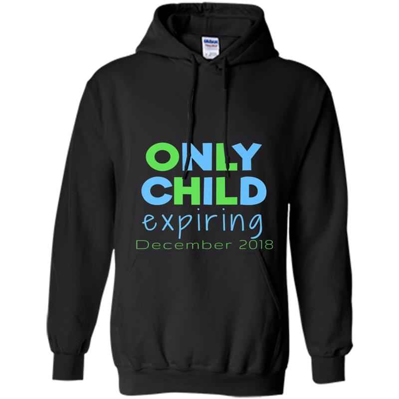 Big Brother  Pregnancy Reveal Baby December 2018 Hoodie-mt