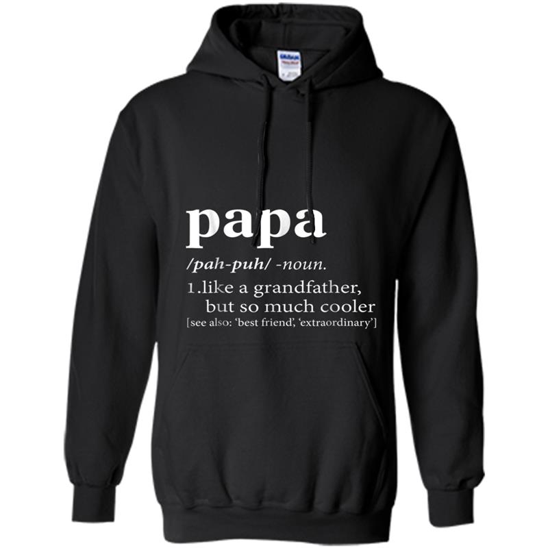 Definition Of Papa  Gift For Fathers Hoodie-mt