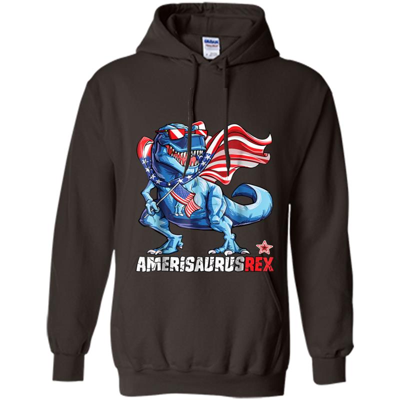 Dinosaur 4th of July  Kids Boys Men Amerisaurus T Rex Hoodie-mt