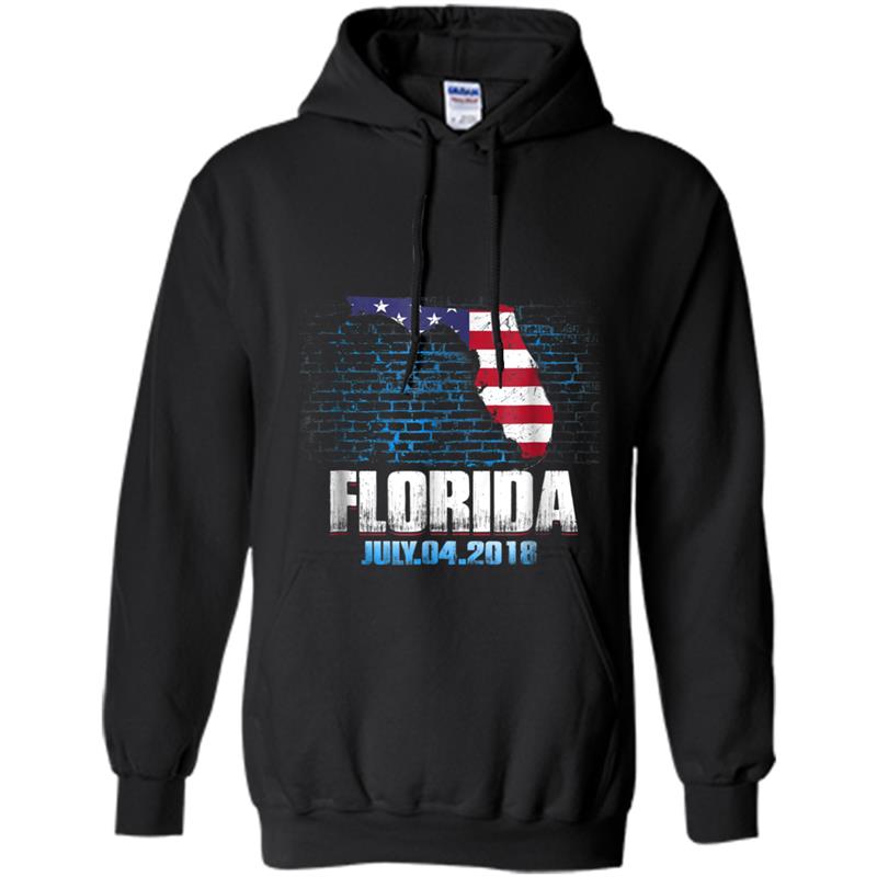 Florida  American USA Flag 4th Of July 2018 Hoodie-mt
