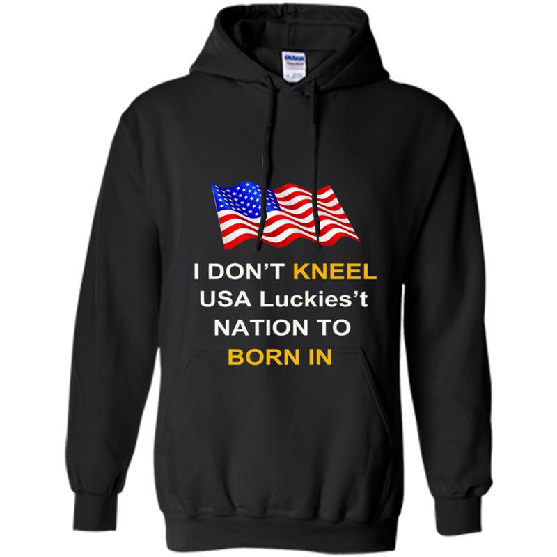 I Dont Kneel I Stand for the Flag Hoodie-mt