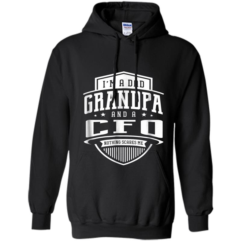 I'm A Dad Grandpa & A CFO Nothing Scares Me Hoodie-mt