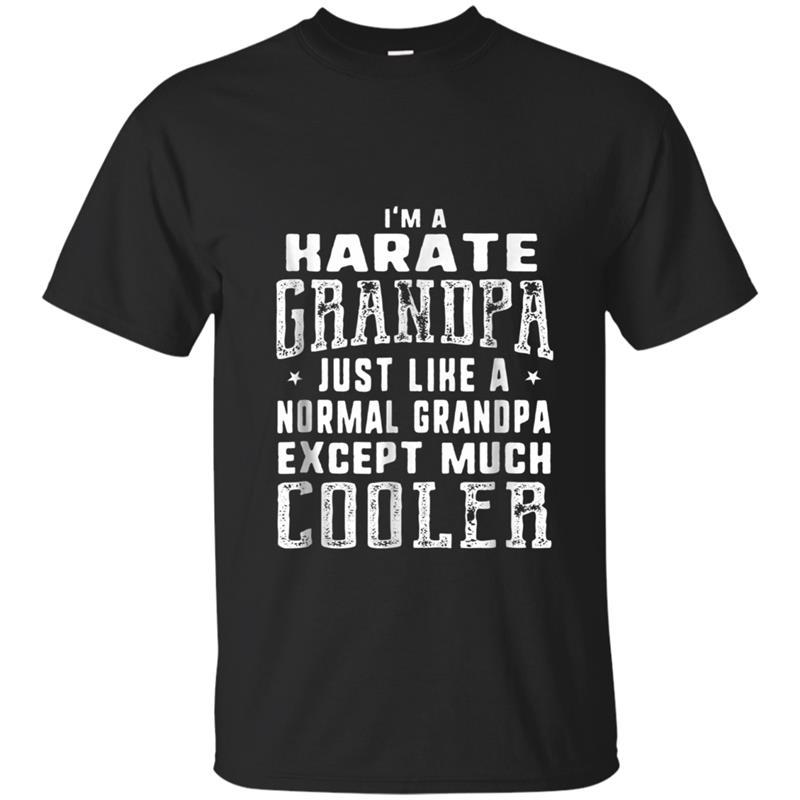 Karate Grandpa Like A Normal Grandpa Funny Men T-shirt-mt