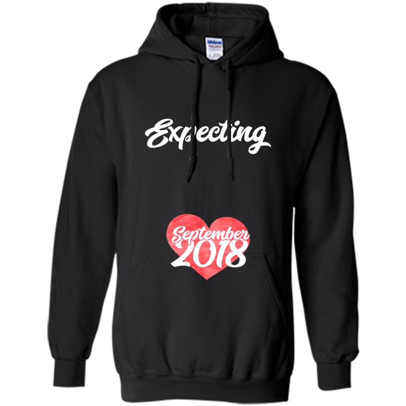 Pregnancy  for Women Expecting September 2018 Gift Tee Hoodie-mt