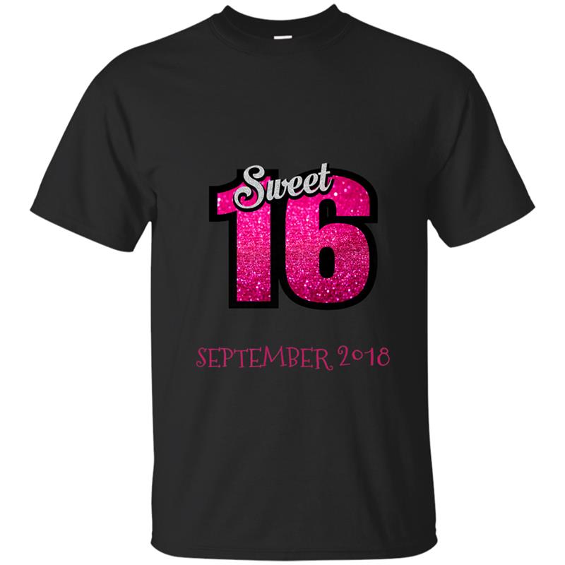 SWEET 16 SEPTEMBER 2018 BIRTHDAY PARTY T-shirt-mt