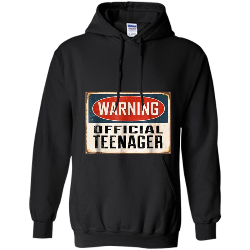 Warning Official Teenager  - 13th Birthday Gift Hoodie-mt