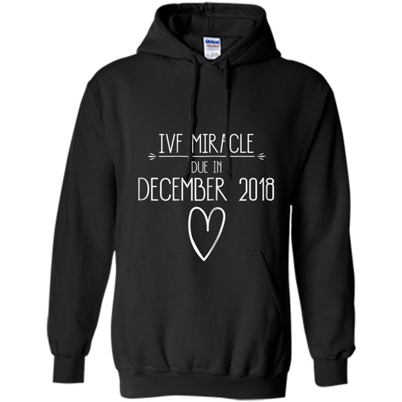 Womens IVF Miracle Due in December 2018 TShir Hoodie-mt